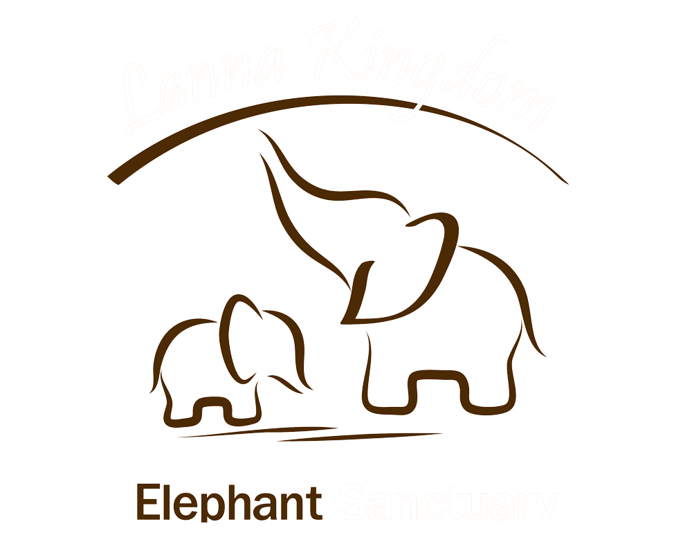 lannakingdomelephantsanctuary.com